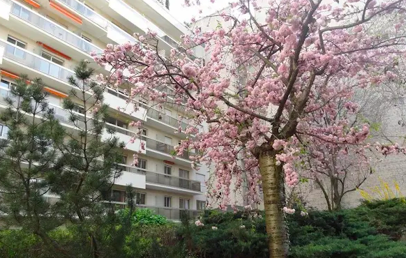 Les Hespérides Auteuil Mirabeau - Image 1