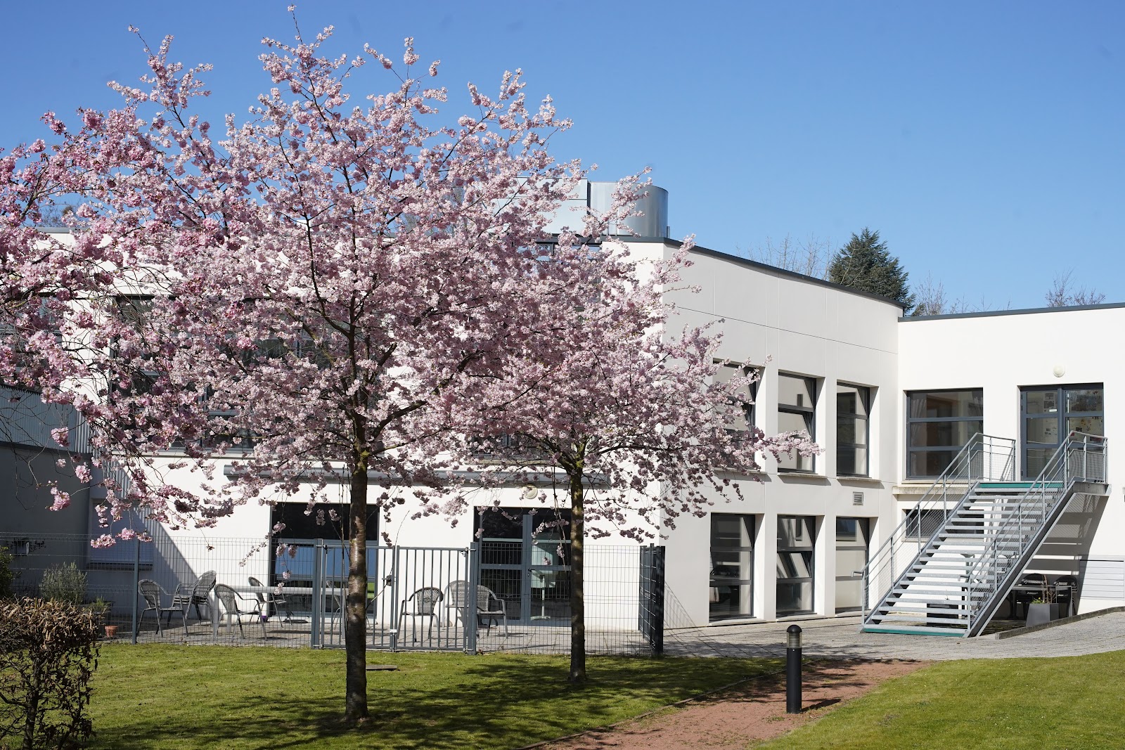 EHPAD LOGIS DOUAISIENS