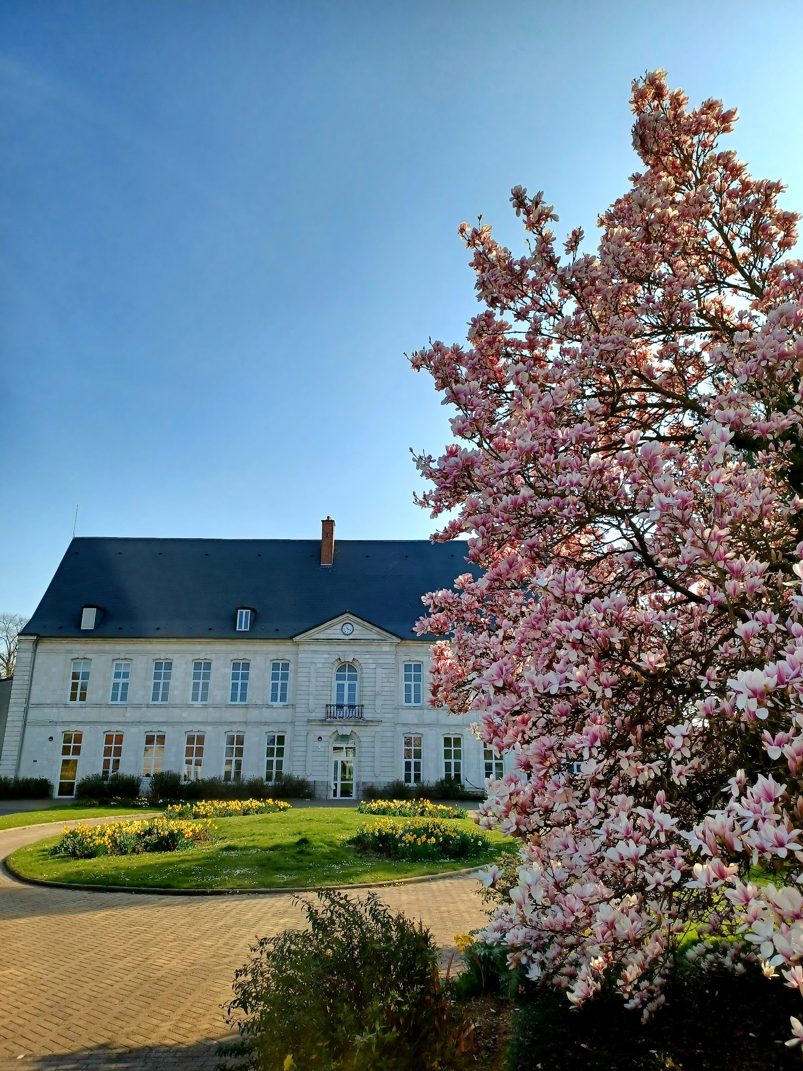 EHPAD Résidence François-Xavier de Saulty
