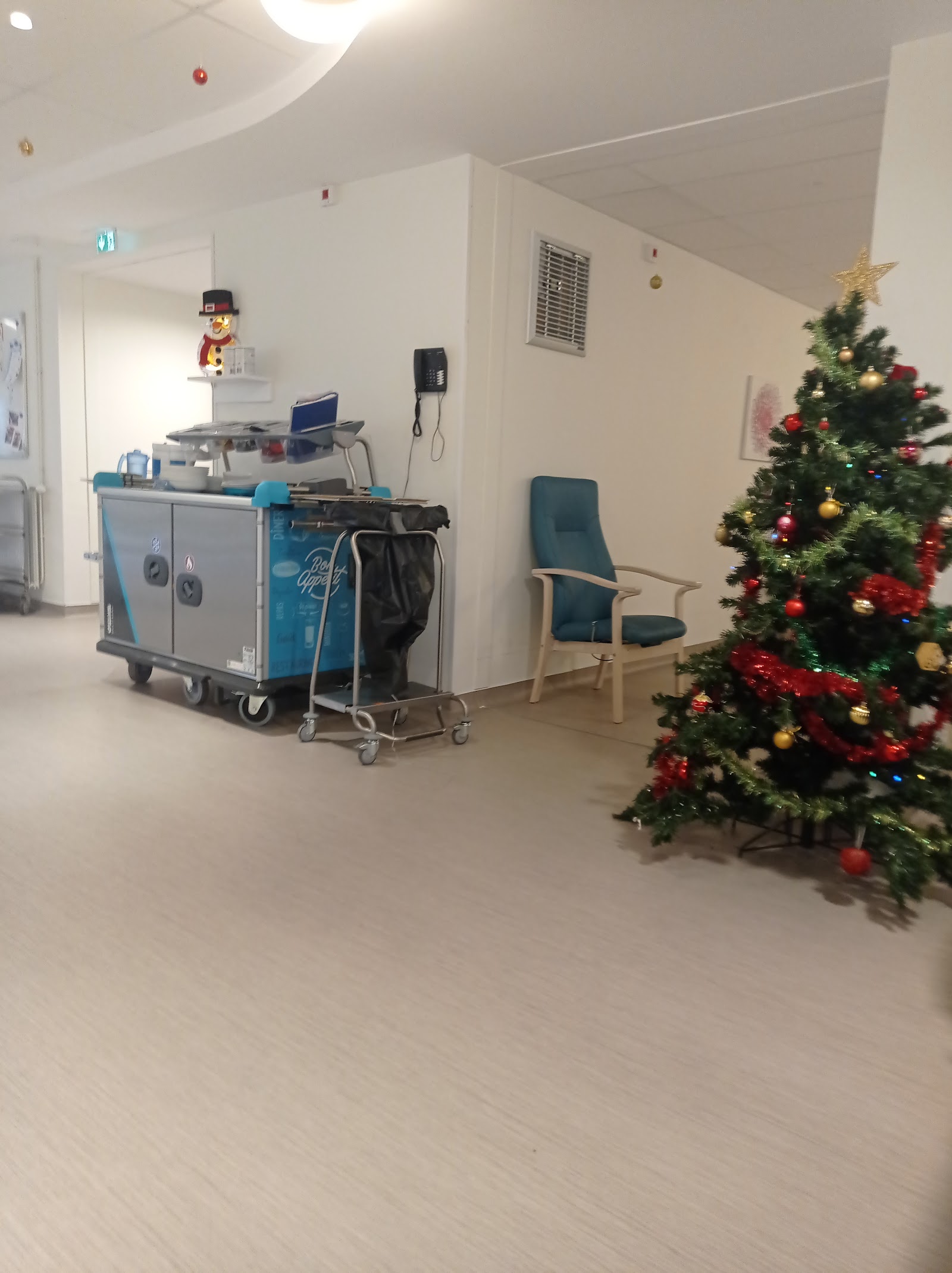 Ehpad La Maison Du Rocher Centre Hospitalier Laval