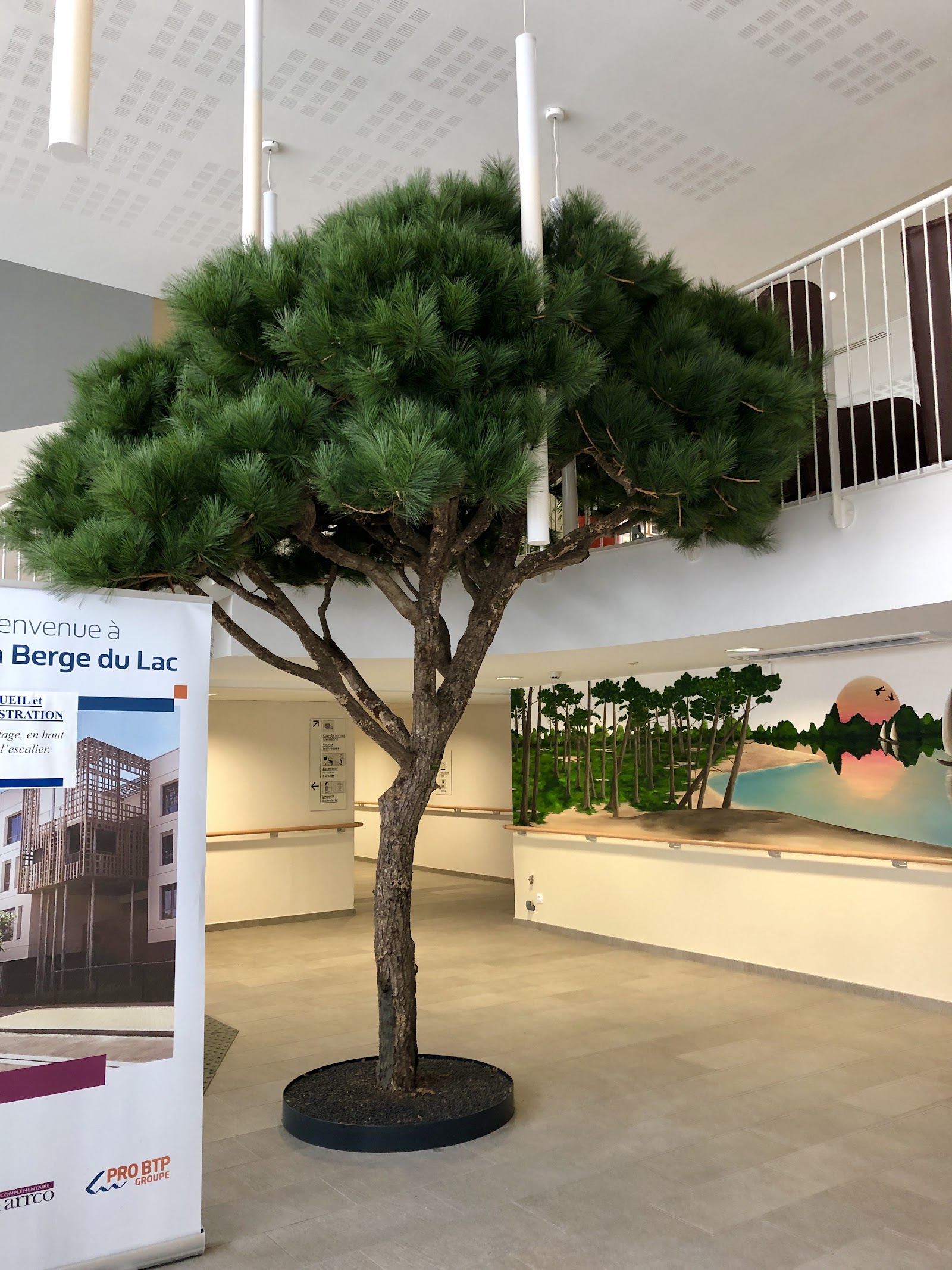 EHPAD La Berge du Lac - BTP RSM
