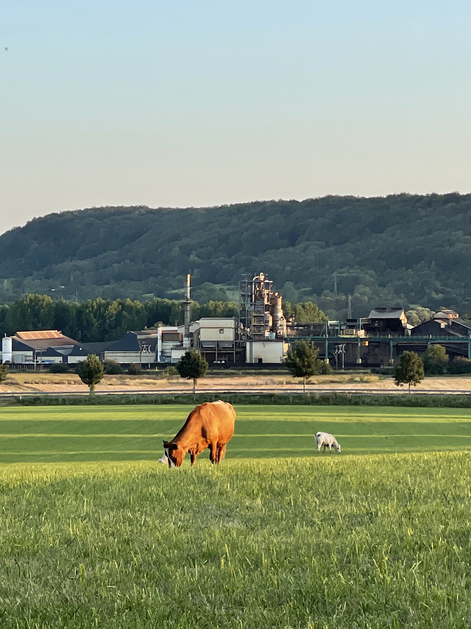 EHPAD de Foug