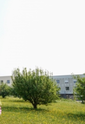 Ehpad Le Verger De Jeanne Centre Hospitalier Laval