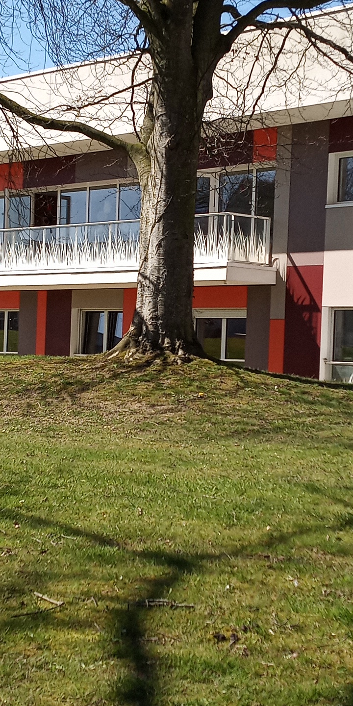 Ehpad Le Parc