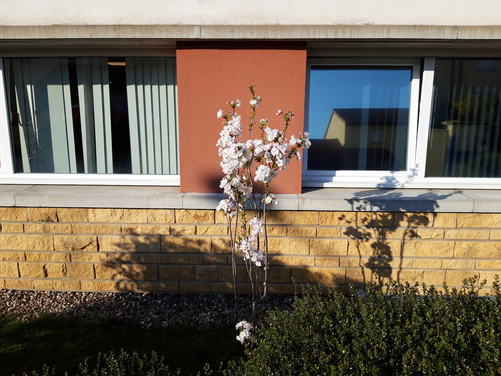 EHPAD La Forêt (Groupe SOS Seniors)