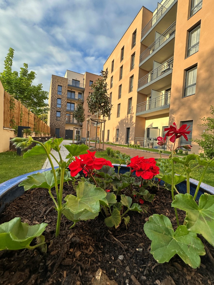 Villas Ginkgos Les Figuiers